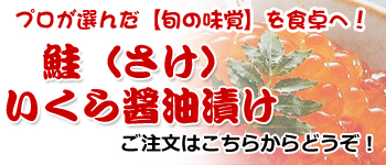 �v�����I�񂾁y�{�̖��o�z��H���